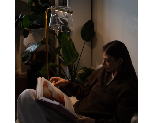 Напольный светильник (торшер) Maytoni MOD170FL-L8BS3K