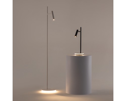 Напольный светильник (торшер) Maytoni Z010FL-L8W3K