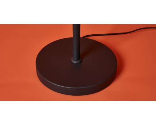 Напольный светильник (торшер) Freya FR5553FL-L20B