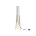 Напольный светильник (торшер) Freya FR5543FL-01T