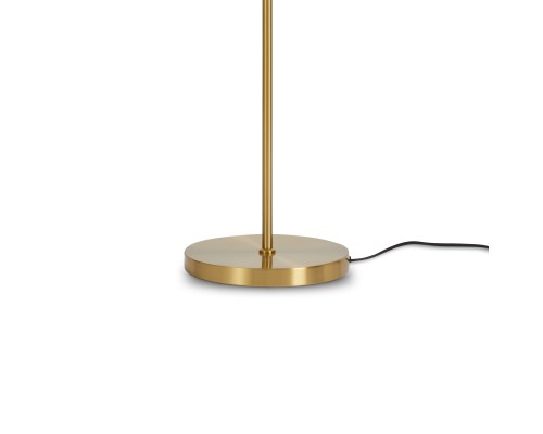 Напольный светильник (торшер) Freya FR5442FL-L13B