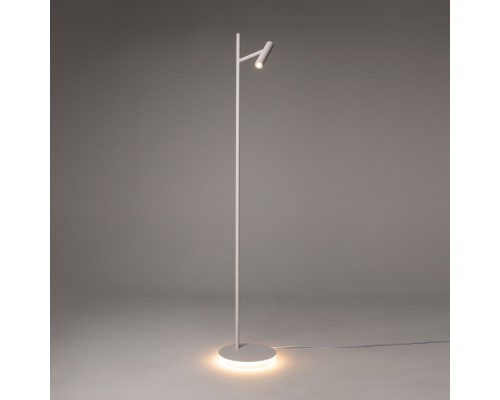 Напольный светильник (торшер) Maytoni Z010FL-L8W3K
