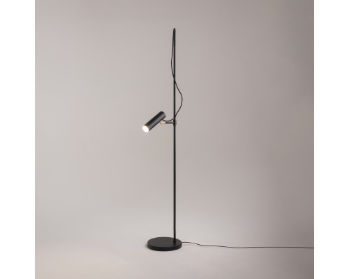 Напольный светильник (торшер) Maytoni MOD129FL-01B
