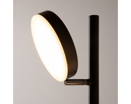 Напольный светильник (торшер) Maytoni MOD070FL-L12B3K