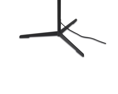 Напольный светильник (торшер) Freya FR6132FL-L15B