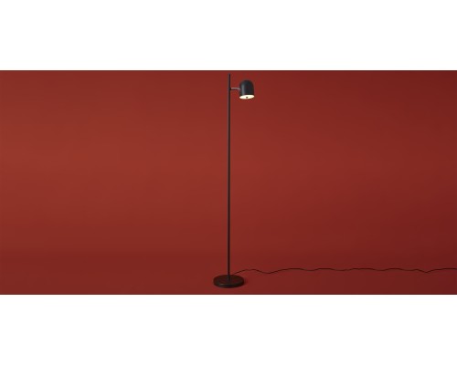 Напольный светильник (торшер) Freya FR5279FL-L7B