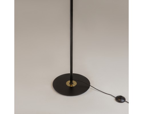 Напольный светильник (торшер) Maytoni MOD348FL-L24BBS3K