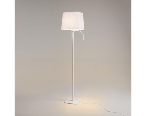 Напольный светильник (торшер) Maytoni Z001FL-L3W-1W