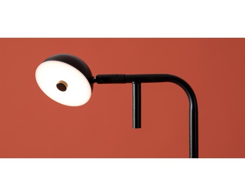 Напольный светильник (торшер) Freya FR5549FL-L5B