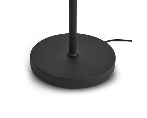 Напольный светильник (торшер) Freya FR5553FL-L20B