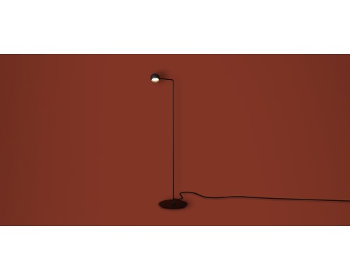 Напольный светильник (торшер) Freya FR5606FL-L9B