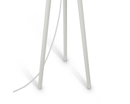 Напольный светильник (торшер) Maytoni Z177FL-01W