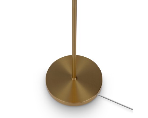 Напольный светильник (торшер) Freya FR5371FL-01BS