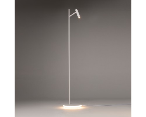 Напольный светильник (торшер) Maytoni Z010FL-L8W3K