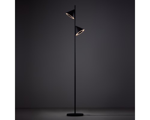 Напольный светильник (торшер) Freya FR6141FL-L14B