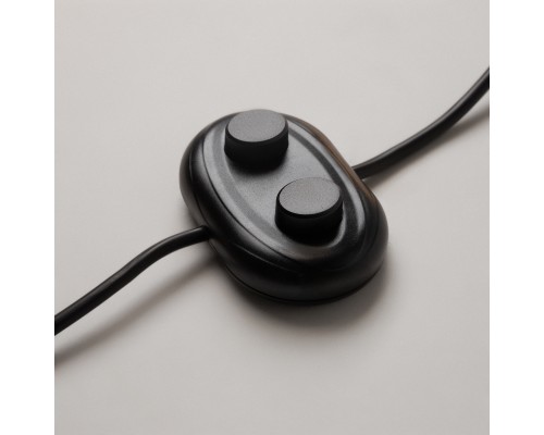 Напольный светильник (торшер) Maytoni Z010FL-L8B3K