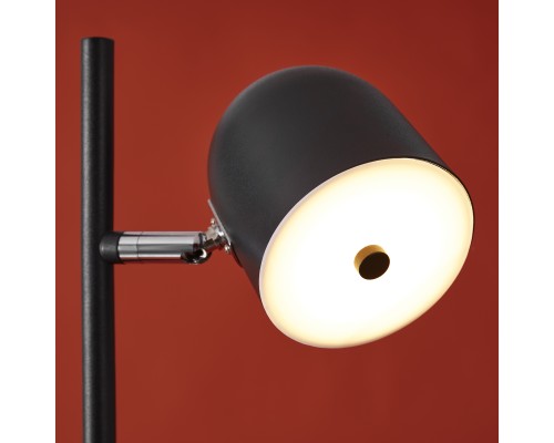 Напольный светильник (торшер) Freya FR5279FL-L7B