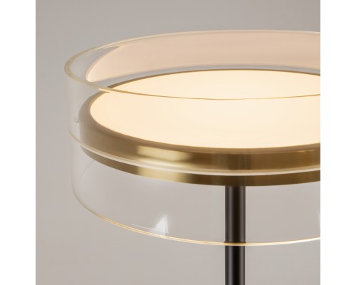 Напольный светильник (торшер) Maytoni MOD348FL-L24BBS3K