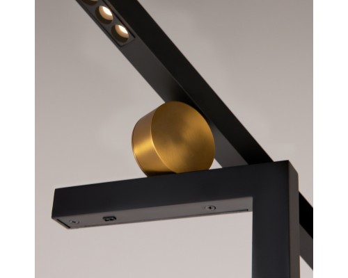 Напольный светильник (торшер) Maytoni MOD363FL-L14B3K