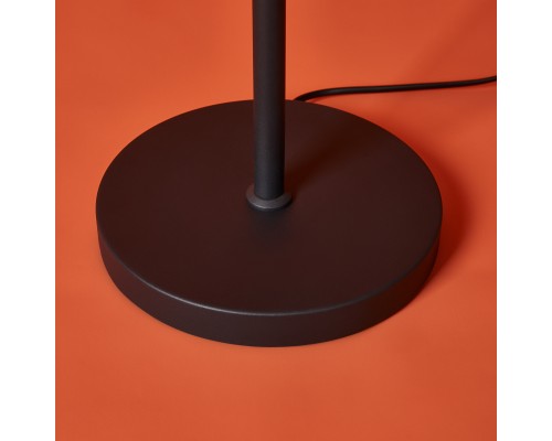 Напольный светильник (торшер) Freya FR5553FL-L20B