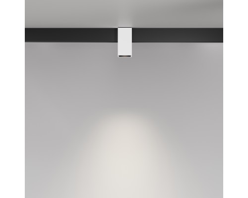 Трековый светильник Technical TR121-2-7W4K-W