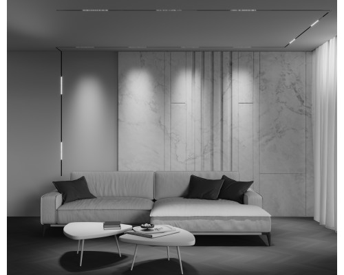 Трековый светильник Technical TR241-4-12WTW-DD2-B