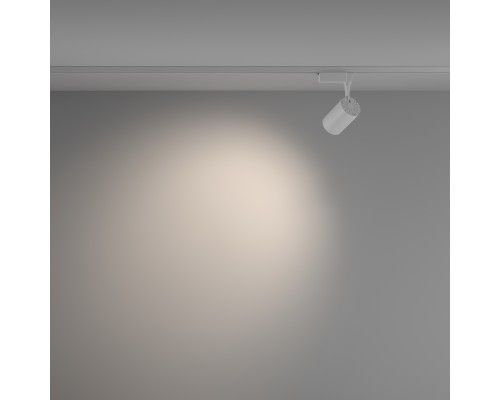 Трековый светильник Technical TR003-1-10W4K-W-W