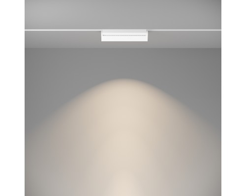 Трековый светильник Technical TR075-2-20W4K-W