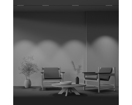 Трековый светильник Technical TR031-2-12W4K-B