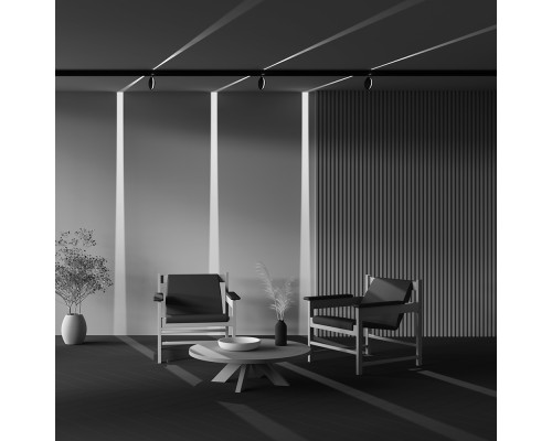 Трековый светильник Technical TR090-2-6W3K-B