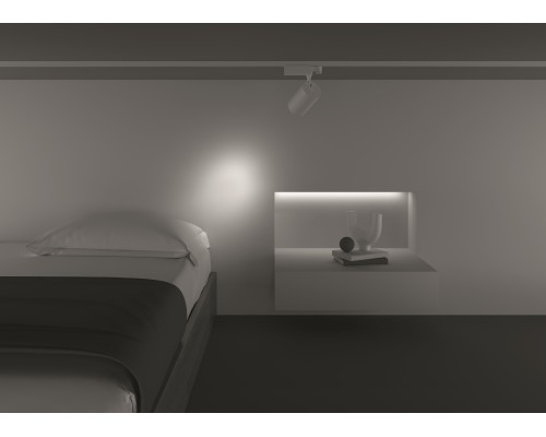 Трековый светильник Technical TR029-3-20W3K-S-W