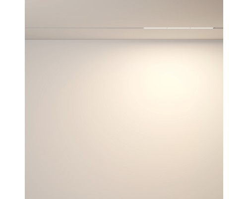 Трековый светильник Technical TR106-2-18W3K-W