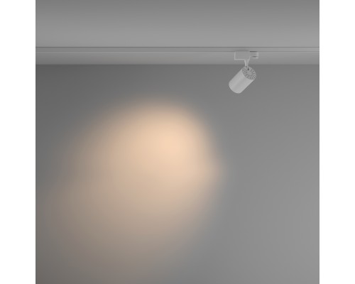 Трековый светильник Technical TR029-3-10W3K-M-W