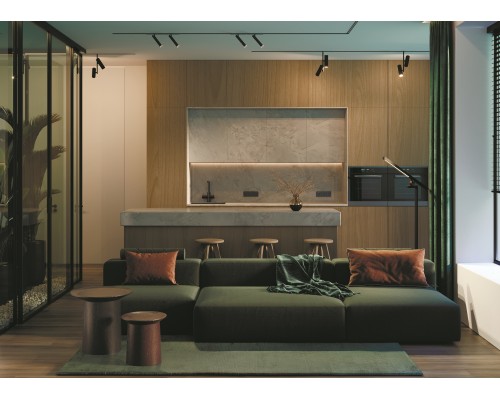 Трековый светильник Technical TR141-2-6W3K-M-B