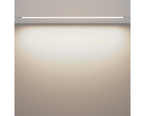 Трековый светильник Technical TR030-2-30W4K-W