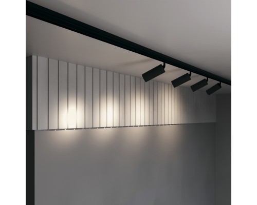 Трековый светильник Technical TR032-2-20W3K-S-B