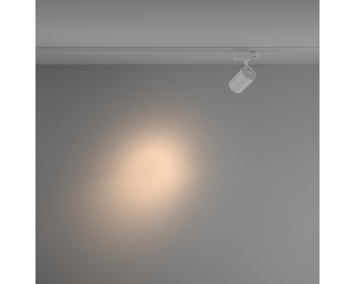 Трековый светильник Technical TR029-3-10W3K-S-W