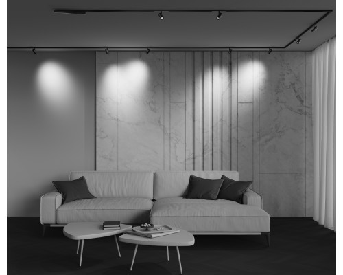 Трековый светильник Technical TR243-4-5WTW-DSZ-B