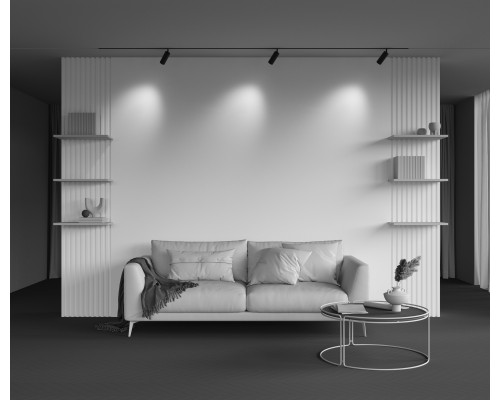 Трековый светильник Technical TR097-2-12W4K-M-BB