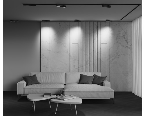 Трековый светильник Technical TR242-2-12W4K-B