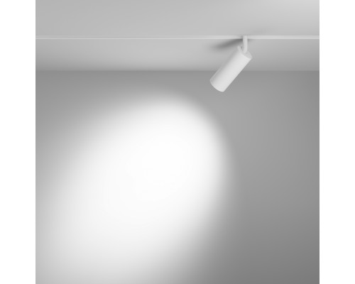 Трековый светильник Technical TR032-2-12W3K-S-W