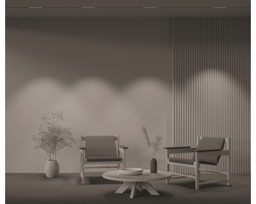 Трековый светильник Technical TR031-2-12W3K-B