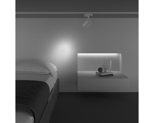 Трековый светильник Technical TR029-3-10W3K-S-W