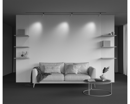 Трековый светильник Technical TR097-2-12W4K-M-BW