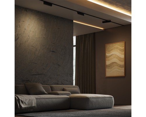 Трековый светильник Technical TR242-2-12W3K-B