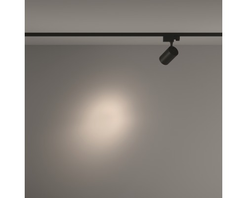 Трековый светильник Technical TR029-3-10W4K-S-B