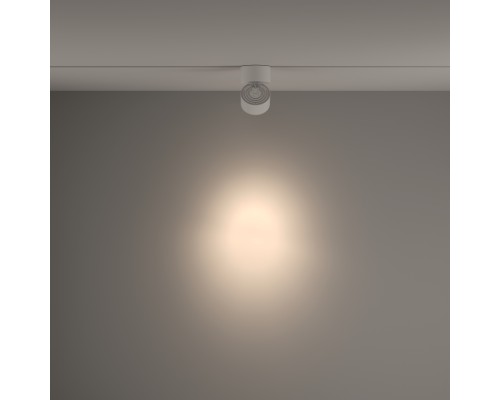 Трековый светильник Technical TR084-1-15W4K-W