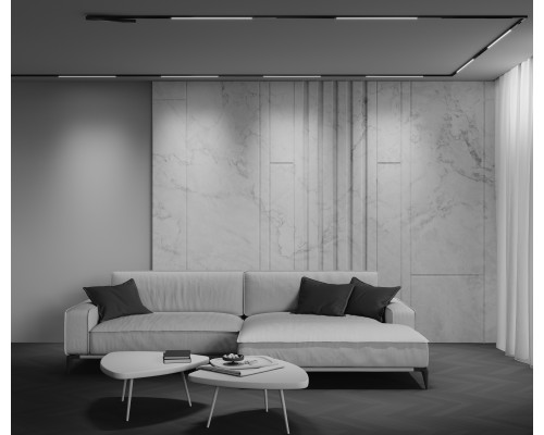 Трековый светильник Technical TR240-4-12WTW-DSZ-B