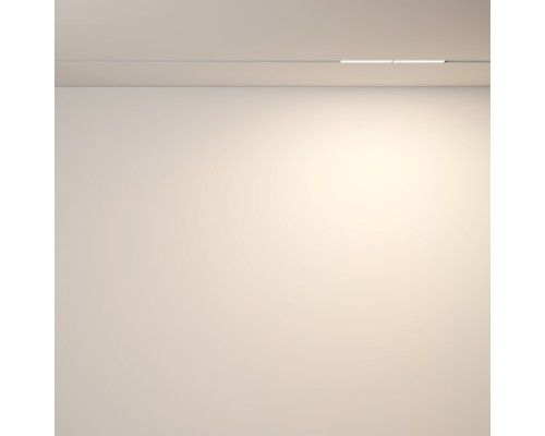 Трековый светильник Technical TR106-2-12W3K-W