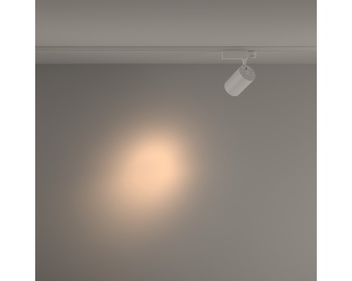 Трековый светильник Technical TR029-3-20W3K-S-W